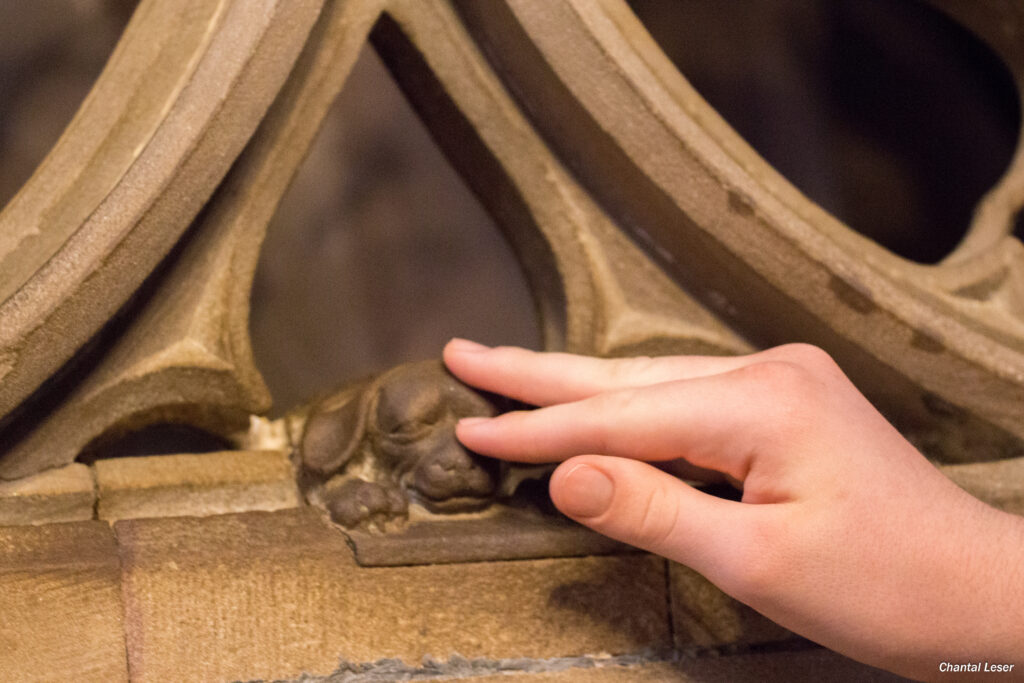Photo de la main de Matthieu qui touche le petit chien sculpté au pied d'une chaire dans la cathédrale de Strasbourg