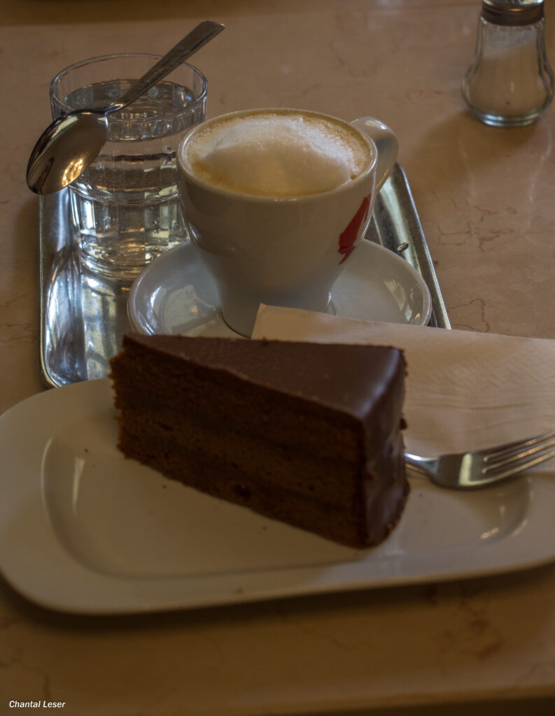 Photo d'une part de sachertorte et de café viennois
