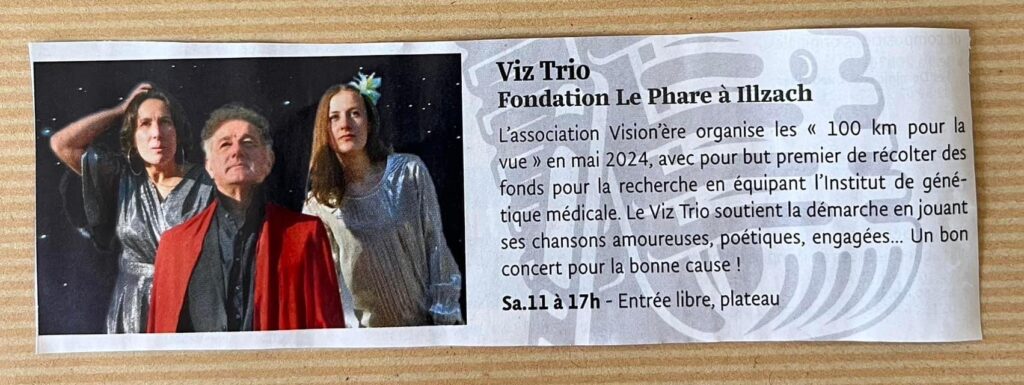 Publication de l'article dans le journal des spectacles faisant la promotion du concert de Viz Trio le 11 novembre au Phare