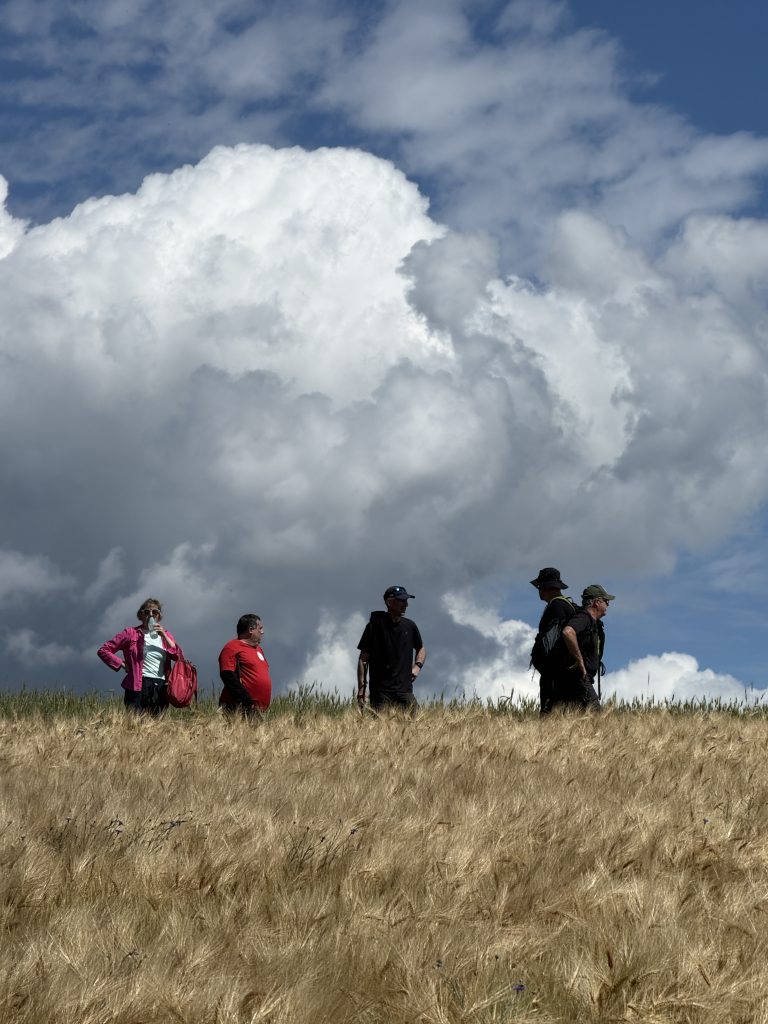 Quelques marcheurs devant un champ de blé et de gros nuages