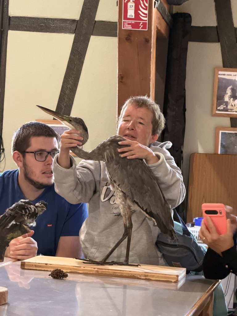 Stéphanie et Matthieu découvrent un héron empaillé