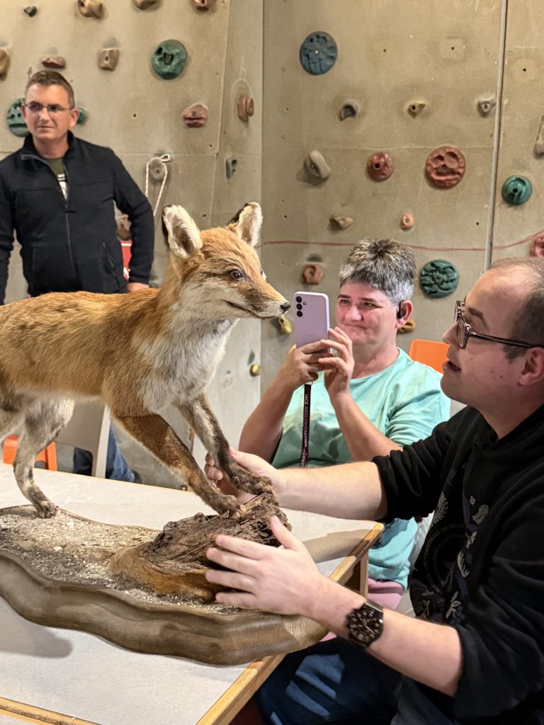 Marie-Laure et Romuald découvrent un renard empaillé